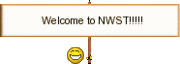 Welcome to NWST
